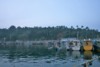 FOTO005.JPG