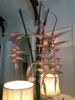 FOTO027.JPG