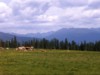 FOTO018.JPG