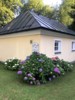 FOTO009.JPG