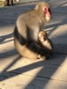 FOTO010.JPG