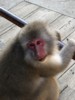 FOTO011.JPG
