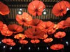 FOTO011.JPG