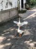 FOTO019.JPG