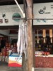 FOTO007.JPG